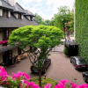 Отель Excelsior Boutique Hotel, фото 4