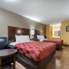 Отель Econo Lodge, фото 35