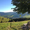 Отель Schwarzwaldblick Bernau im Schwarzwald, фото 36