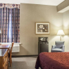 Отель Comfort Inn Lundys Lane, фото 5