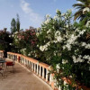 Отель Les Jardins De Ouarzazate, фото 21