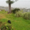 Отель Beach House Bed & Breakfast, фото 3