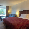 Отель Ramada By Wyndham Branson Theatre District, фото 17