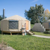 Отель The Shed Guesthouse, фото 9