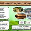 Отель Mulu Diana Homestay в Мулу