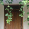 Отель Tegar Guest House Blumbungan, фото 15