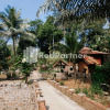 Отель De Longkewang Homestay Cianjur RedPartner, фото 1