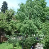 Отель Apartment with Garden, фото 9
