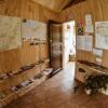 Отель Sunny nights Hostel, фото 6