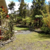 Отель Kuuipo Cottage, фото 13