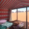Отель Wadi Rum Starlight Camp, фото 16