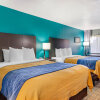 Отель Quality Inn & Suites Tarpon Springs South, фото 47
