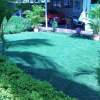 Отель Avelina Guest House, фото 1