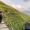 Отель Longji Muyunju Boutique Homestay (Ping'an Zhuangzhai Seven Stars and Moon Viewing Point ), фото 11