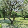 Отель Stunning Home in Mörbylånga With 3 Bedrooms and Wifi, фото 12