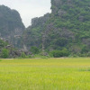 Отель An Phu Homestay, фото 12