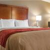 Отель Comfort Inn, фото 4