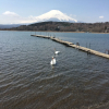 Отель VOYAN Resort FUJIYAMANAKAKO GEKKOSO, фото 18