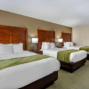 Отель Comfort Inn, фото 3
