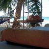 Отель La Palapa, фото 12