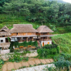 Отель Panoramic Homestay, фото 1