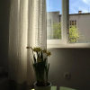 Отель Regina Apartment, фото 2