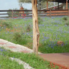 Отель Texas T Bed and Breakfast, фото 5