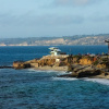 Отель Soledad by Avantstay Oceanfront Haven in La Jolla Beachside Tidal Pools!, фото 16