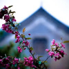 Отель Wenying Hotel, фото 13