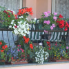 Отель Balcone Fiorito Bed & Breakfast, фото 13