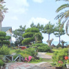 Отель Jeju Orto Pension and Guest House, фото 11