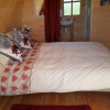 Отель Lovely Glamping Dream Pod in St Austell, Cornwall, фото 21