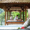 Отель Ayung Resort Ubud, фото 29