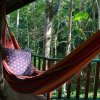 Отель Narrows Escape Rainforest Retreat, фото 15