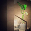 Отель Hyatt Place Vijayawada, фото 10