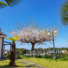 Отель Seogwipo Sotong Pension, фото 18