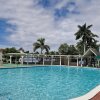 Отель Beautiful 1-bed Apartment in Montego Bay, фото 9