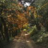 Отель Finca El Ventós, фото 19