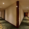 Отель Citic Ningbo International Hotel, фото 14