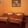 Отель Pensiunea Irina 3, фото 4