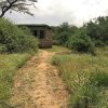 Отель Samburu Riverside Camp, фото 6
