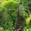 Отель The Fernery, фото 16