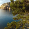 Отель Ruža i Natalija, фото 13