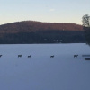 Отель Kiwassa Lake Bed & Breakfast, фото 9