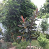 Отель Lusaka Guest House 2-Bedrooms + ensuite bathrooms, Chudleigh, Lusaka, фото 6