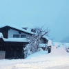 Отель Appartments Zinner-Pale, фото 1
