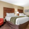 Отель Comfort Inn Okemos - East Lansing, фото 9