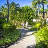 Отель Little Polynesian Resort, фото 13