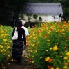 Отель Akigawa Valley Inn Kinkoukaku, фото 17