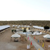 Отель Welcome Desert Camps, фото 37